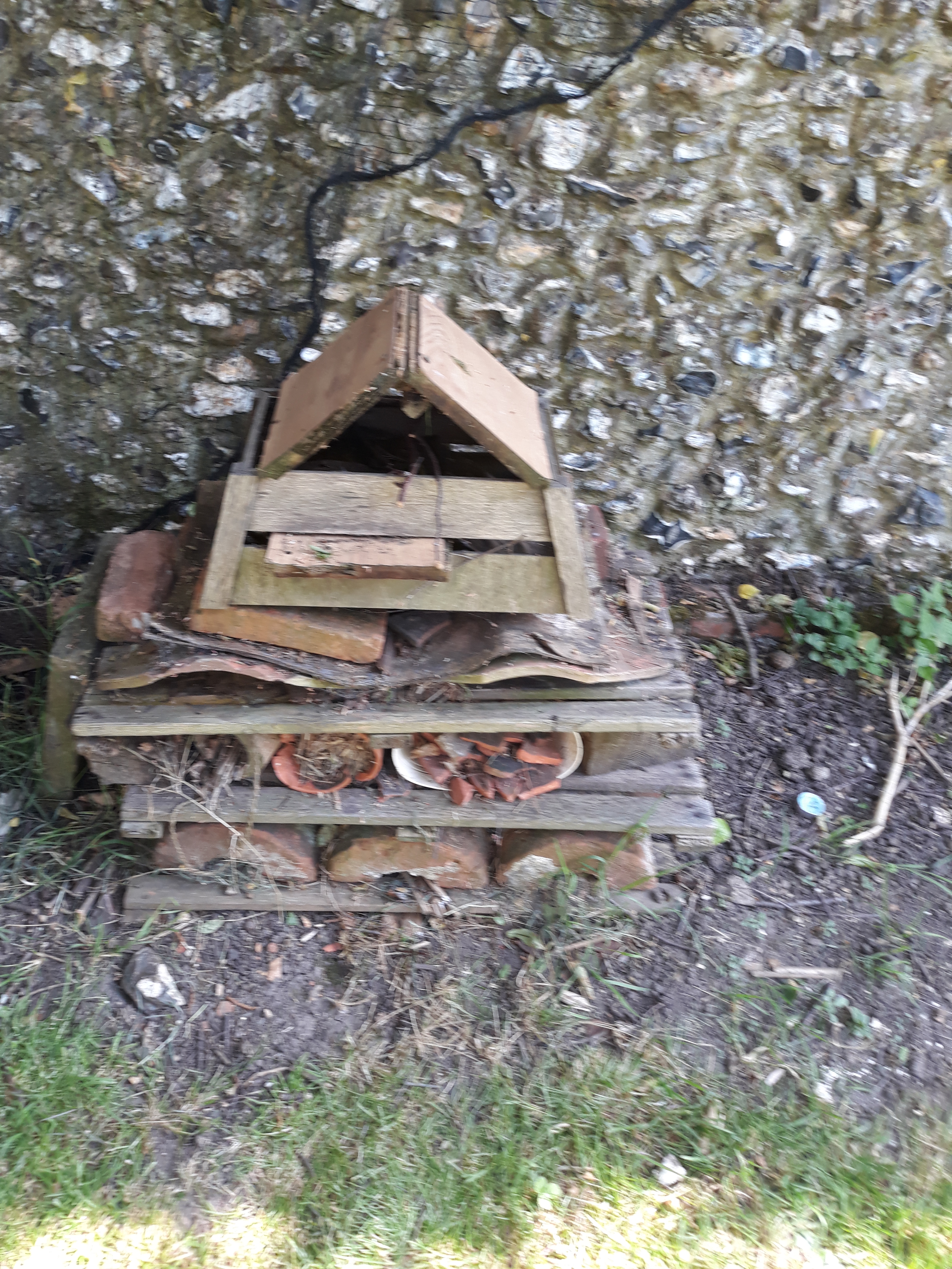 Lockdown competition - Oliver age 11 bug house