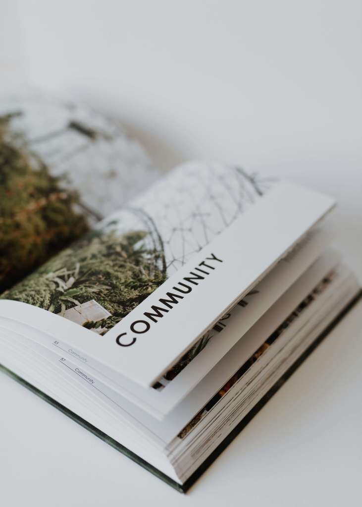 6 recommended reads for your summer sustainability reading list